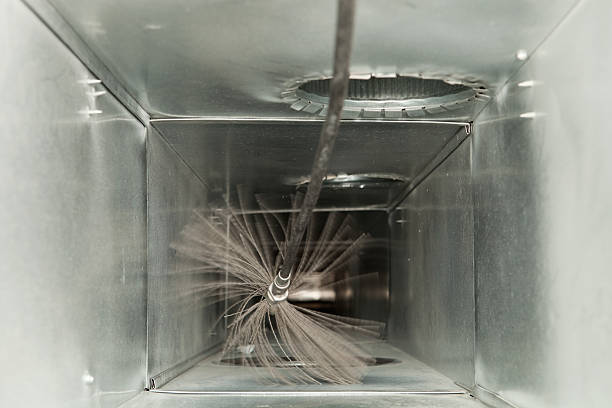 Best Professional Duct Cleaning Services  in Columbus, MN